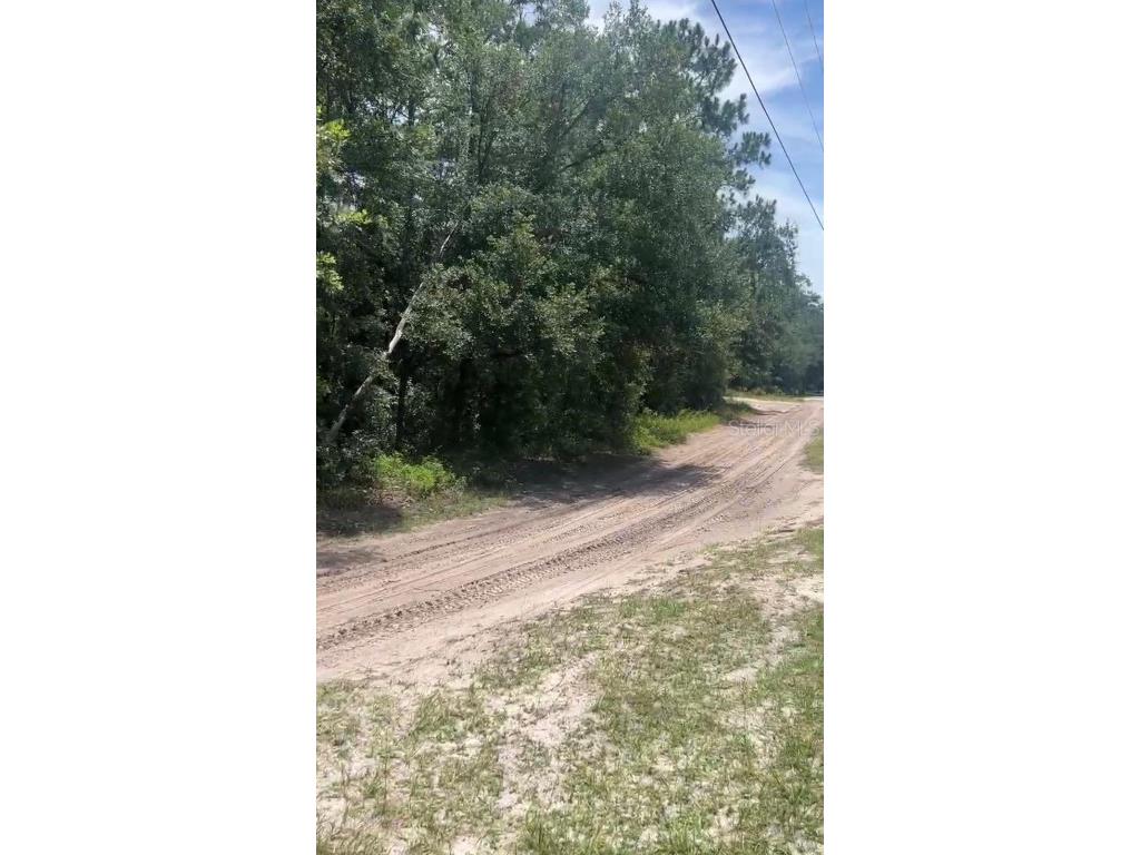 Sw 156th Place Dunnellon FL 34432 S5119787 image2