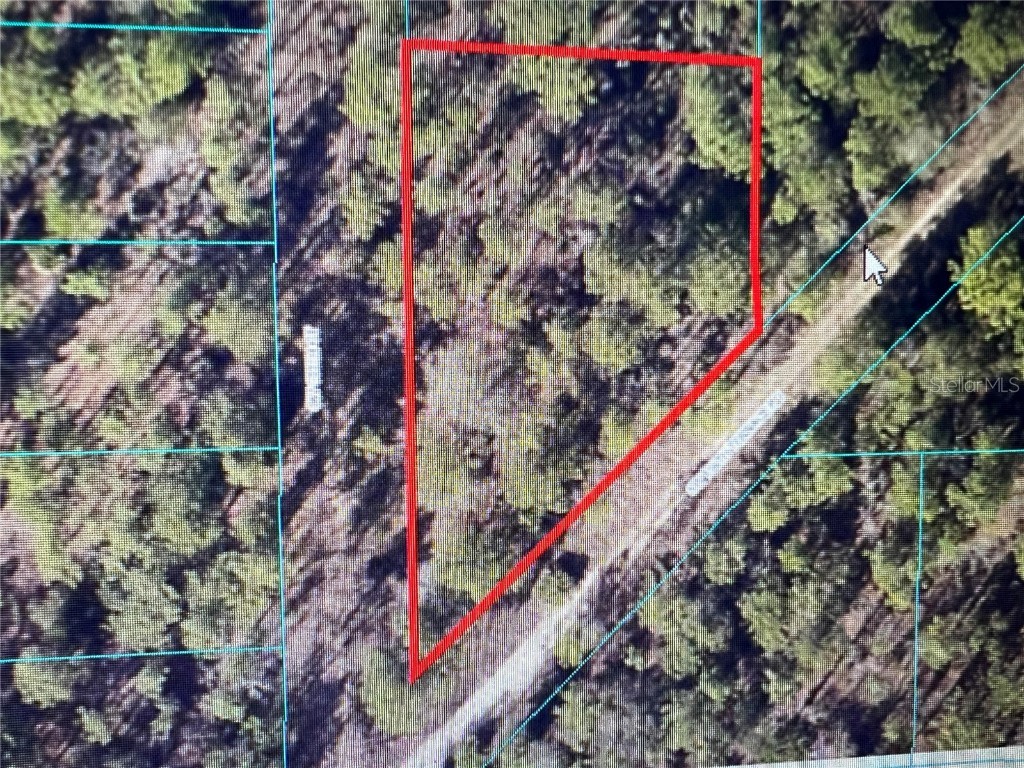 SW 156th Terrace Road Ocala FL 34481 OM657207 image1