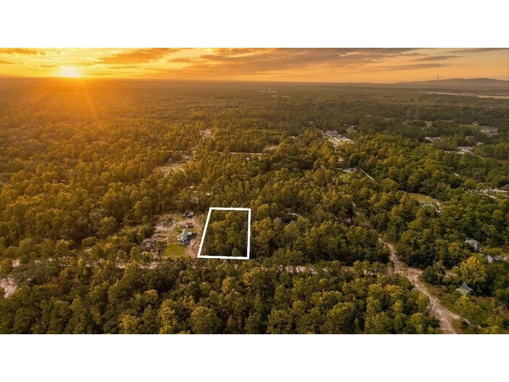 SW 157th Lane Dunnellon FL 34432 TB8530215 image2