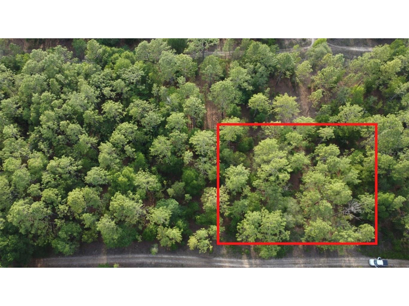 Sw 158th Ct Ocala FL 34481 OM656685 image1