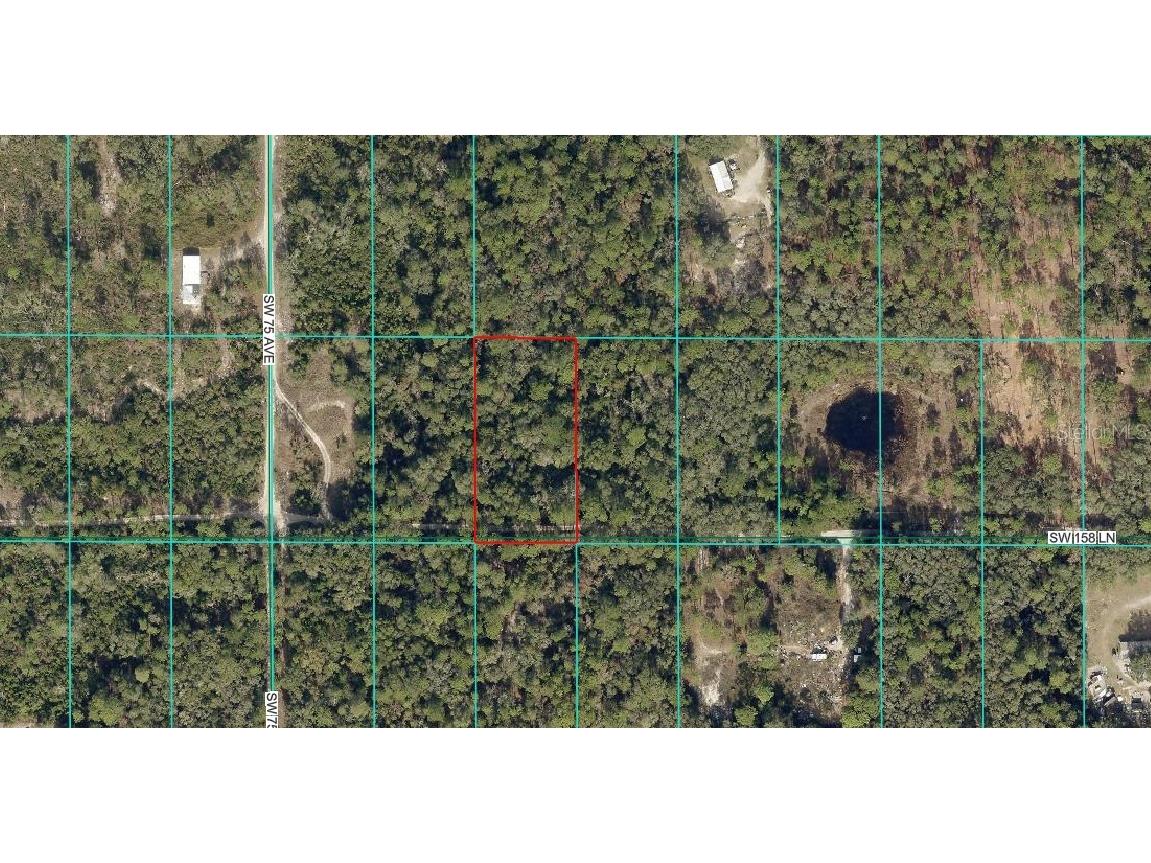SW 158th Lane Dunnellon FL 34432 OM716462 image1
