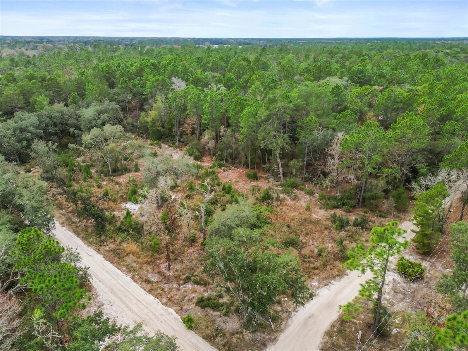 SW 158th Lane Dunnellon FL 34432 S5140173 image10