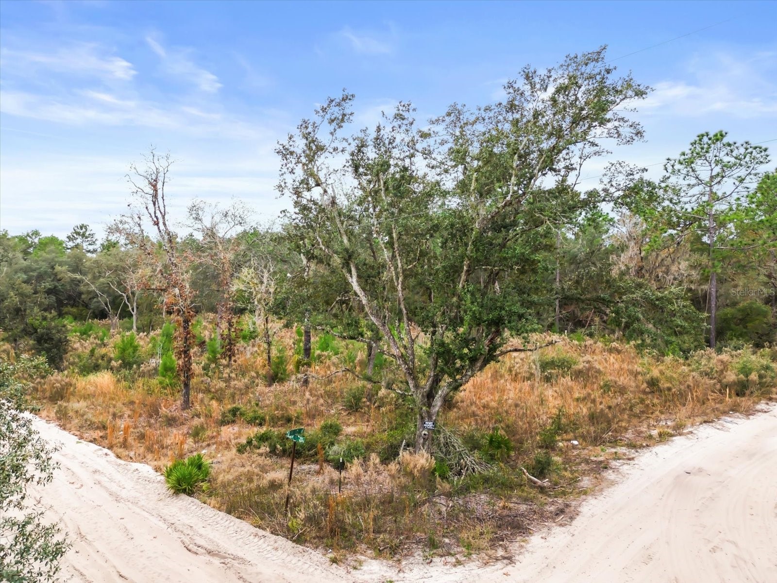 SW 158th Lane Dunnellon FL 34432 S5140173 image11