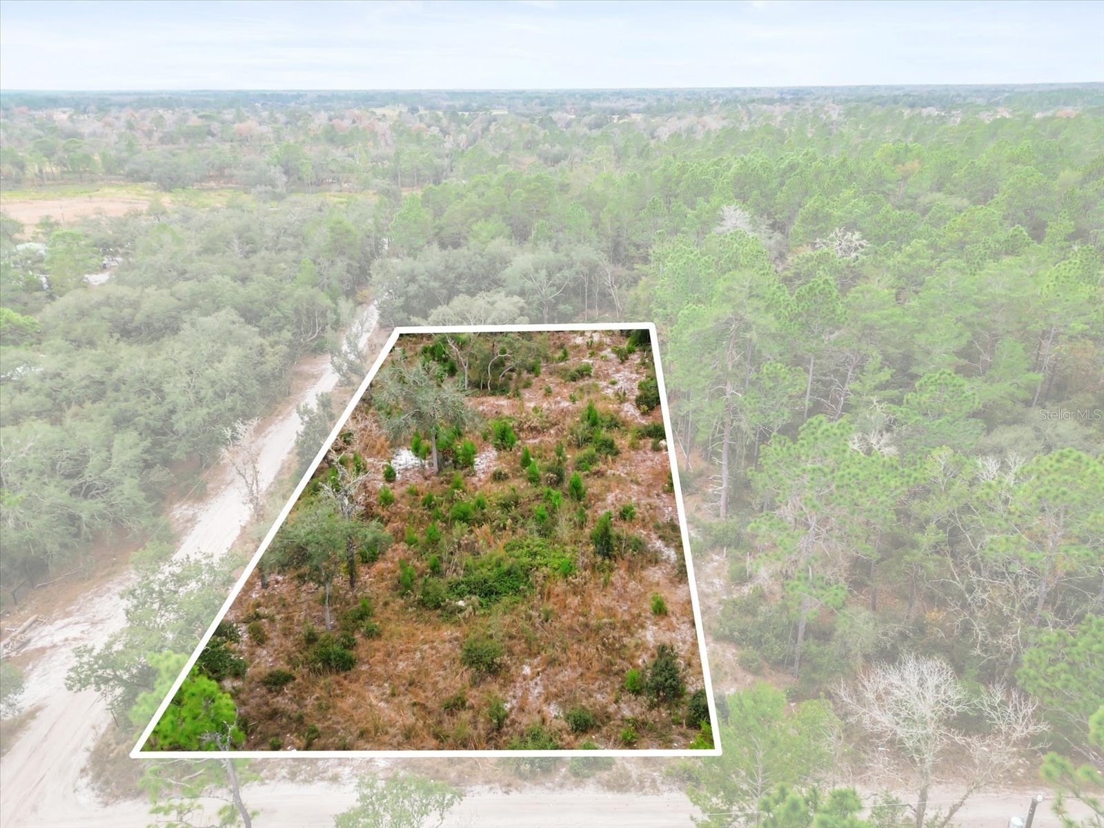 SW 158th Lane Dunnellon FL 34432 S5140173 image2
