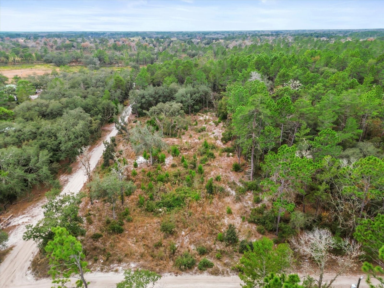 SW 158th Lane Dunnellon FL 34432 S5140173 image3