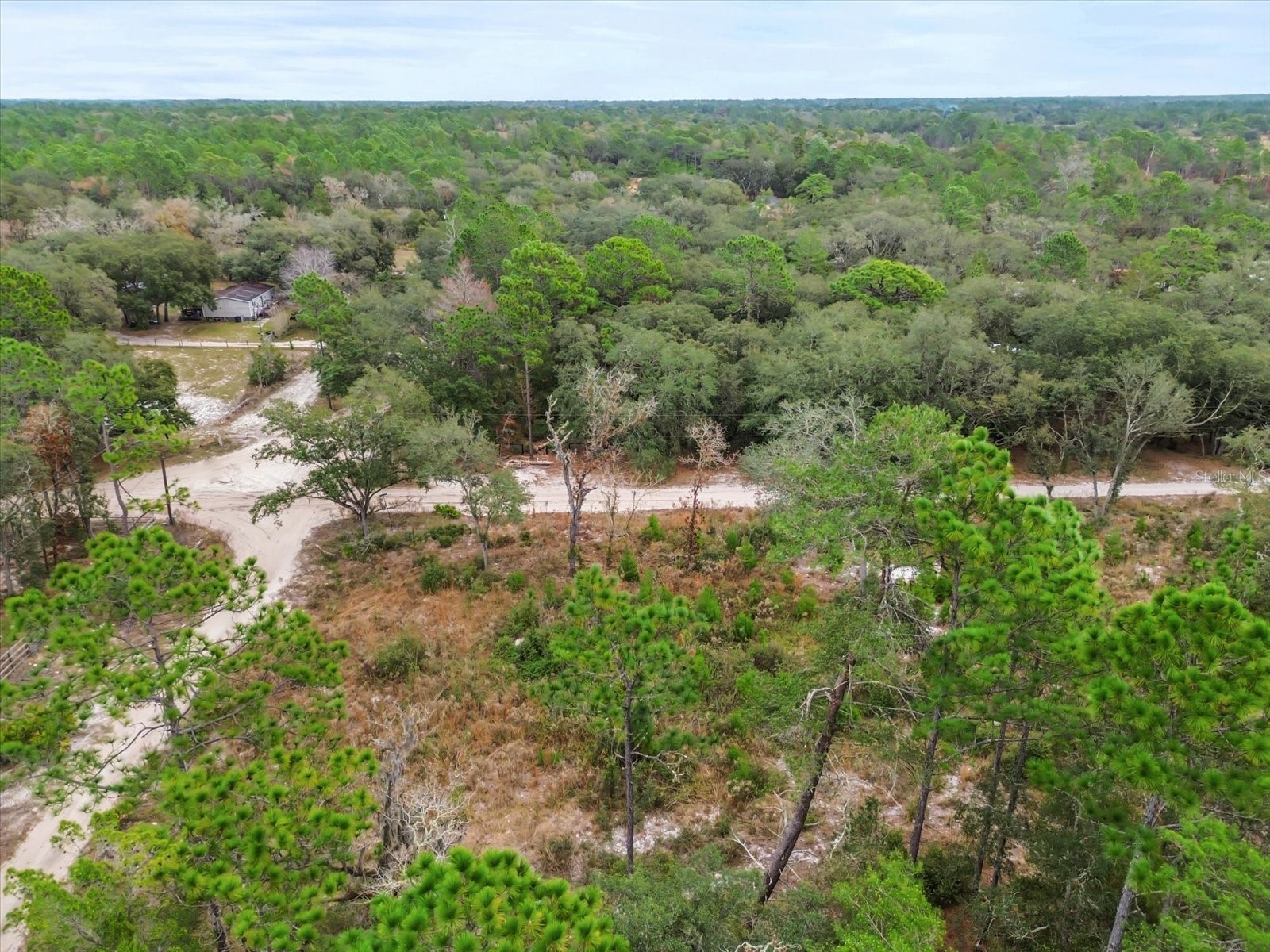 SW 158th Lane Dunnellon FL 34432 S5140173 image6