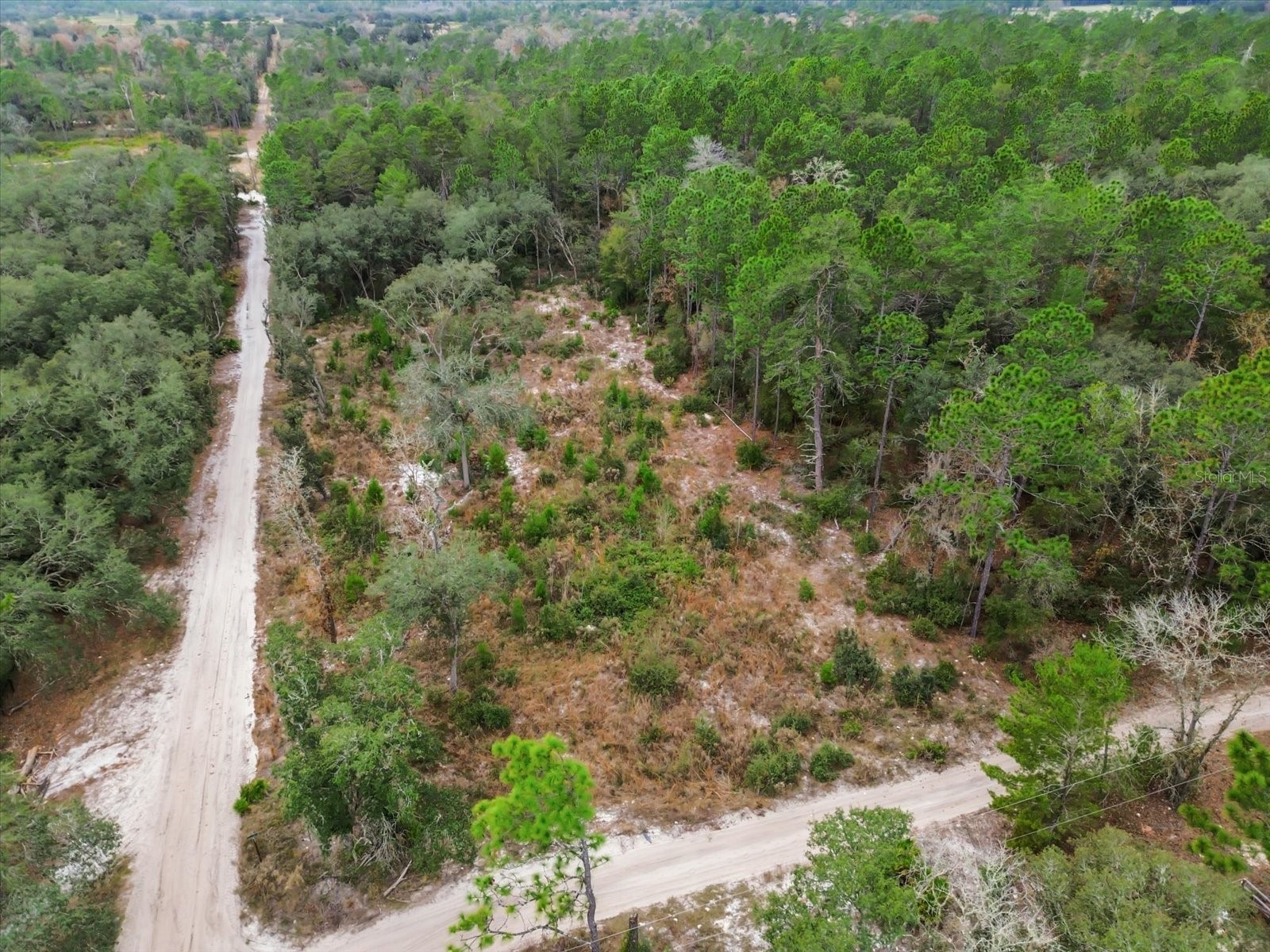 SW 158th Lane Dunnellon FL 34432 S5140173 image7