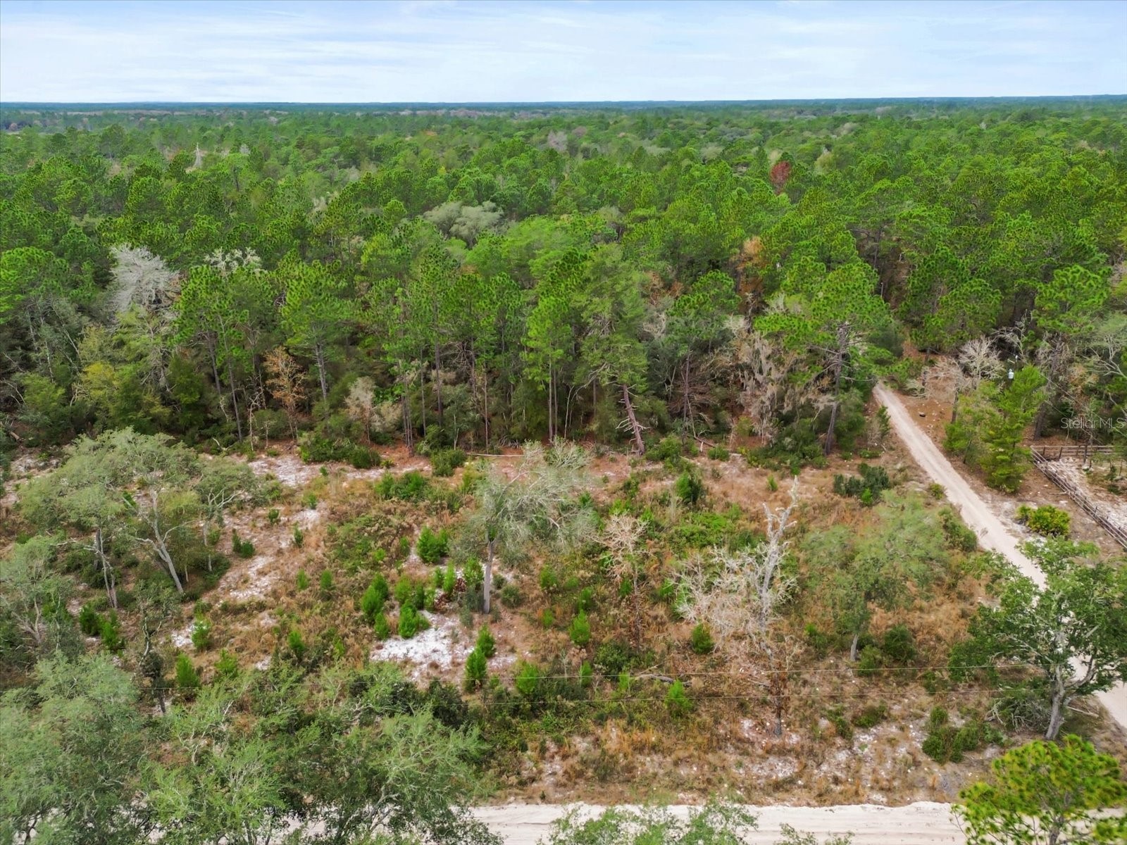 SW 158th Lane Dunnellon FL 34432 S5140173 image9