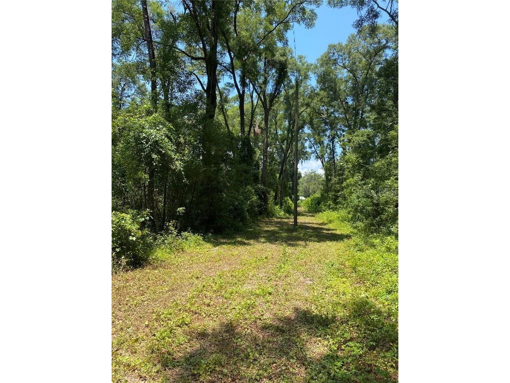 SW 158th Street Archer FL 32618 OM659818 image1