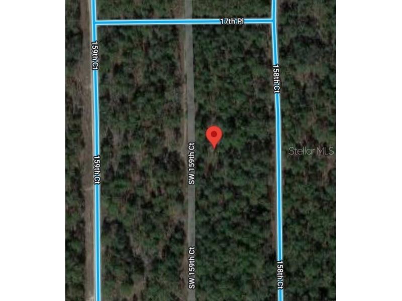 SW 159th Avenue Ocala FL 34481 OM657839 image1