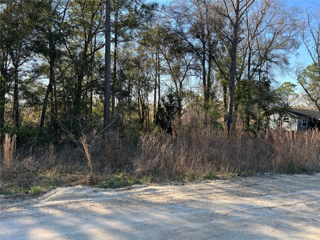 SW 159th Court Ocala FL 34481 W7862275 image1