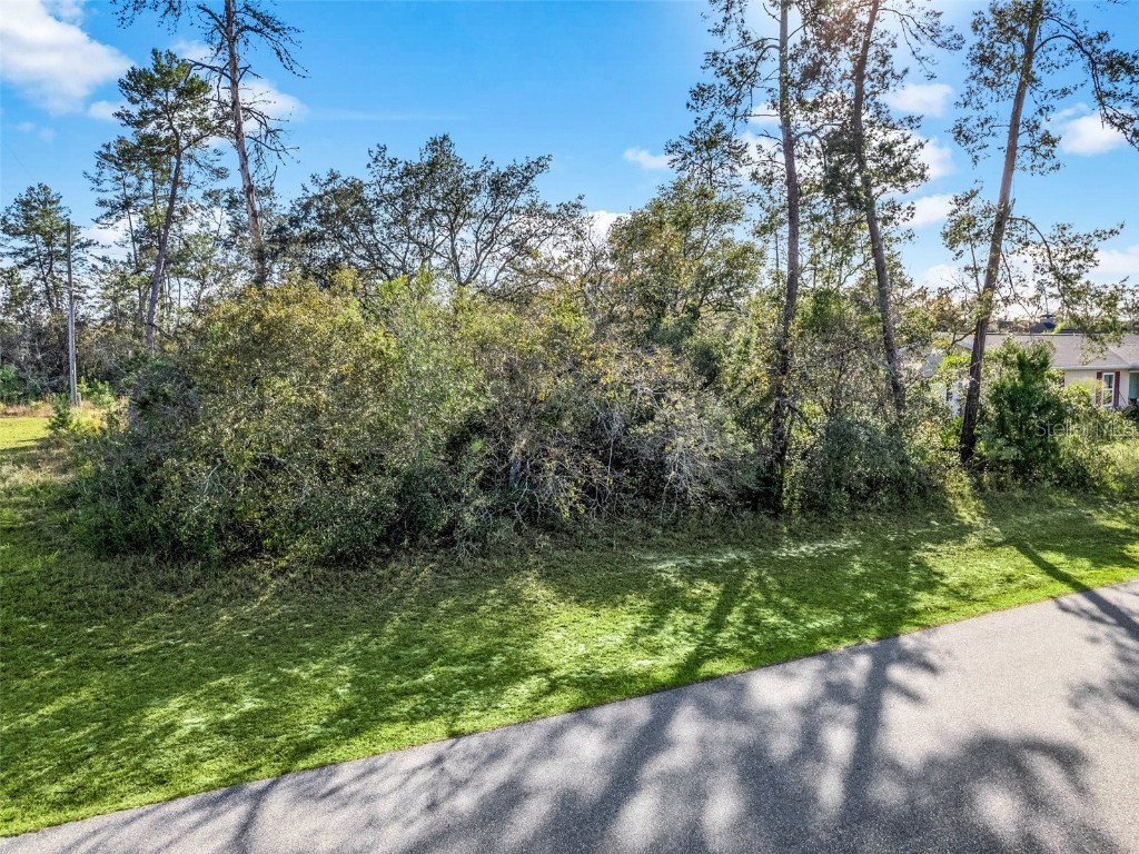 SW 159th Lane Road Ocala FL 34473 G5077496 image1