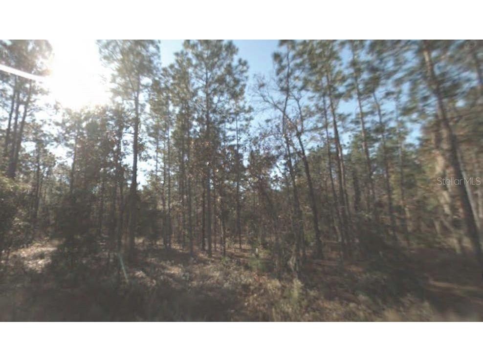 SW 159th Terrace Ocala FL 34481 O6293617 image1