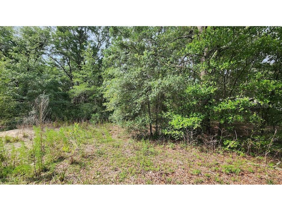 SW 15th Street Ocala FL 34481 OM693335 image1