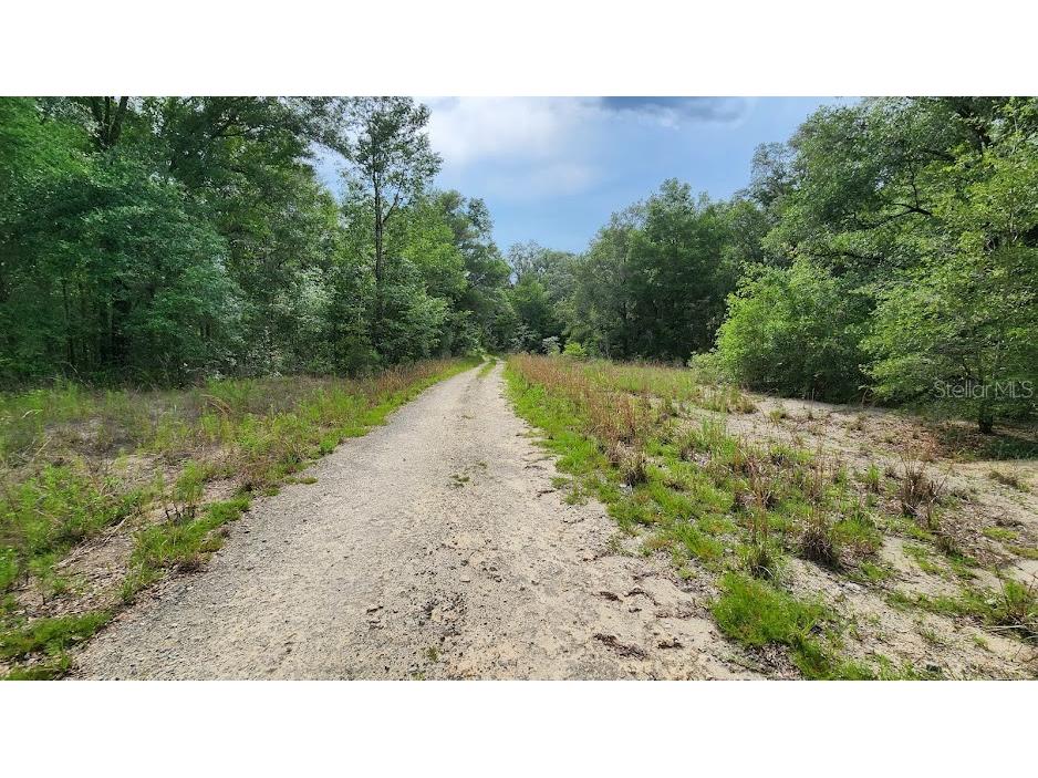 SW 15th Street Ocala FL 34481 OM693335 image2