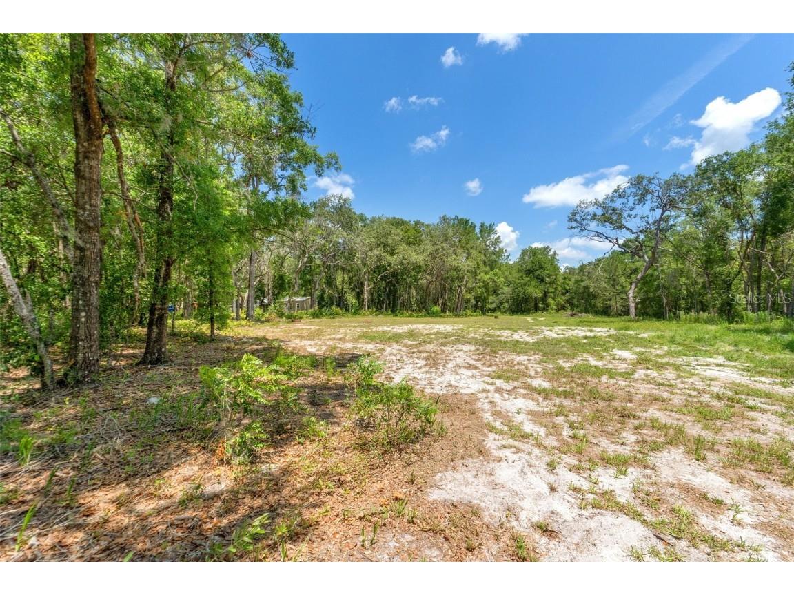 Sw 160th Dunnellon FL 34432 TB8390486 image1