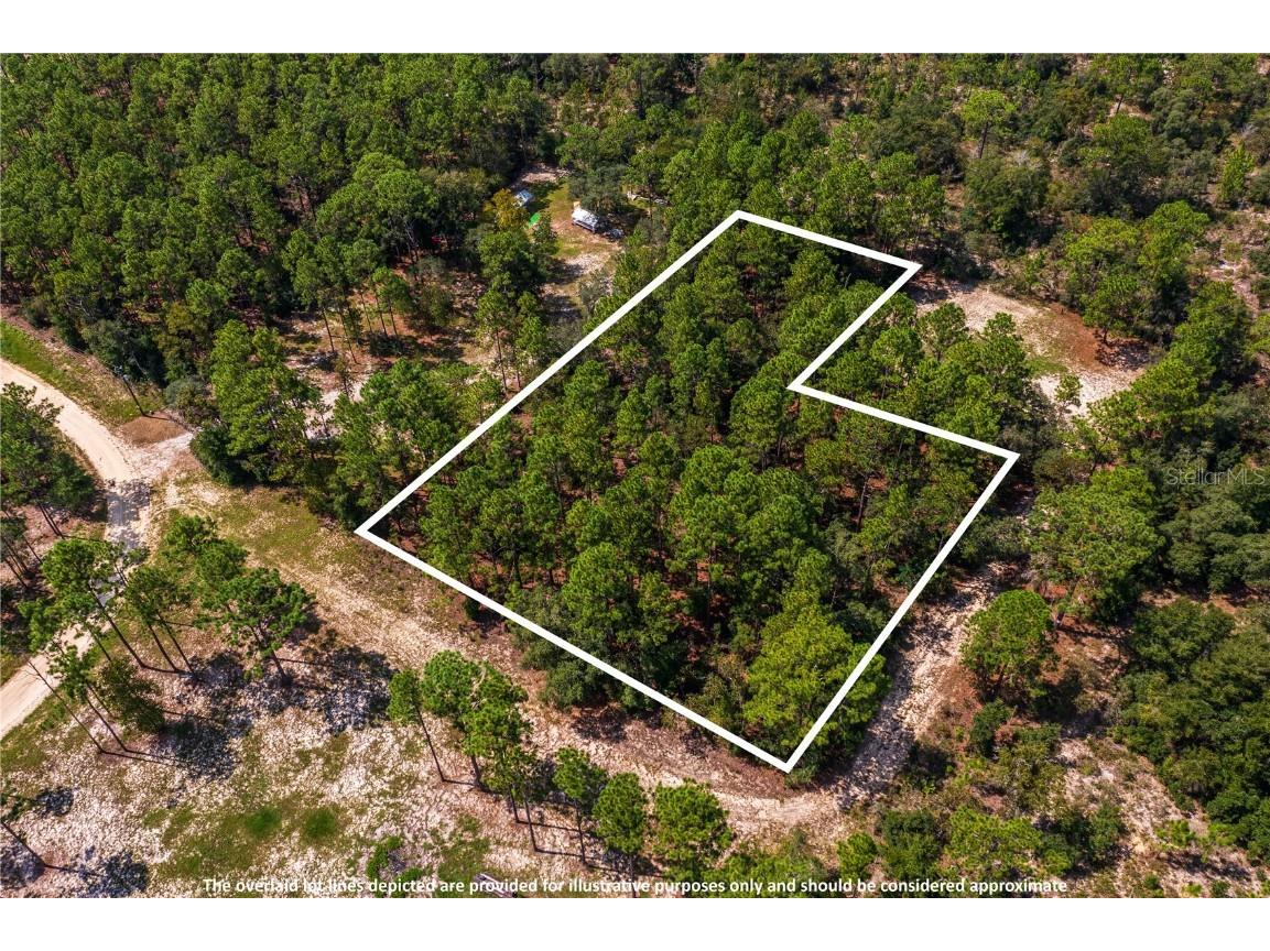 Sw 164th Court Ocala FL 34481 TB8305822 image1