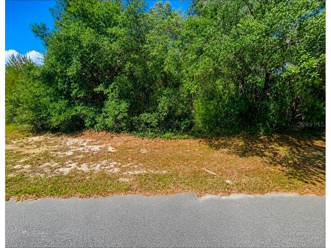 SW 164th Place Road Ocala FL 34473 OM728274 image1