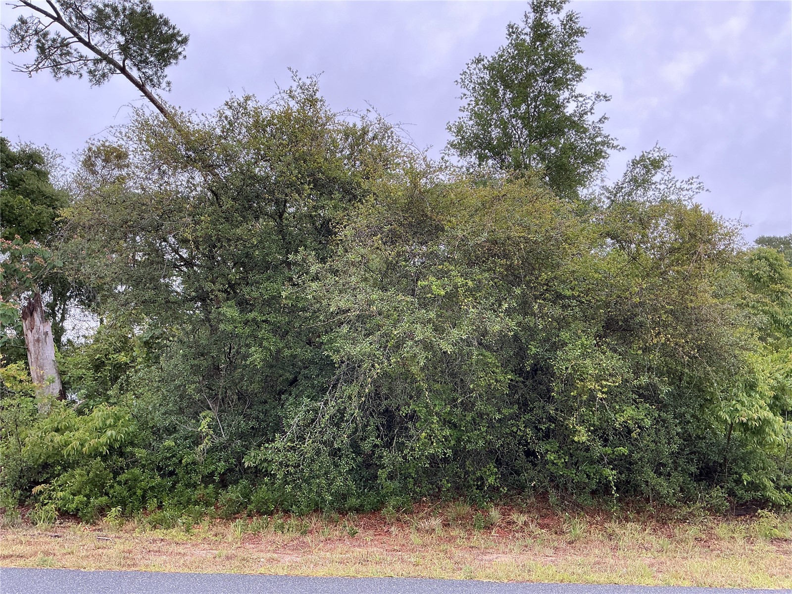 SW 165th Place Ocala FL 34473 OM724772 image1