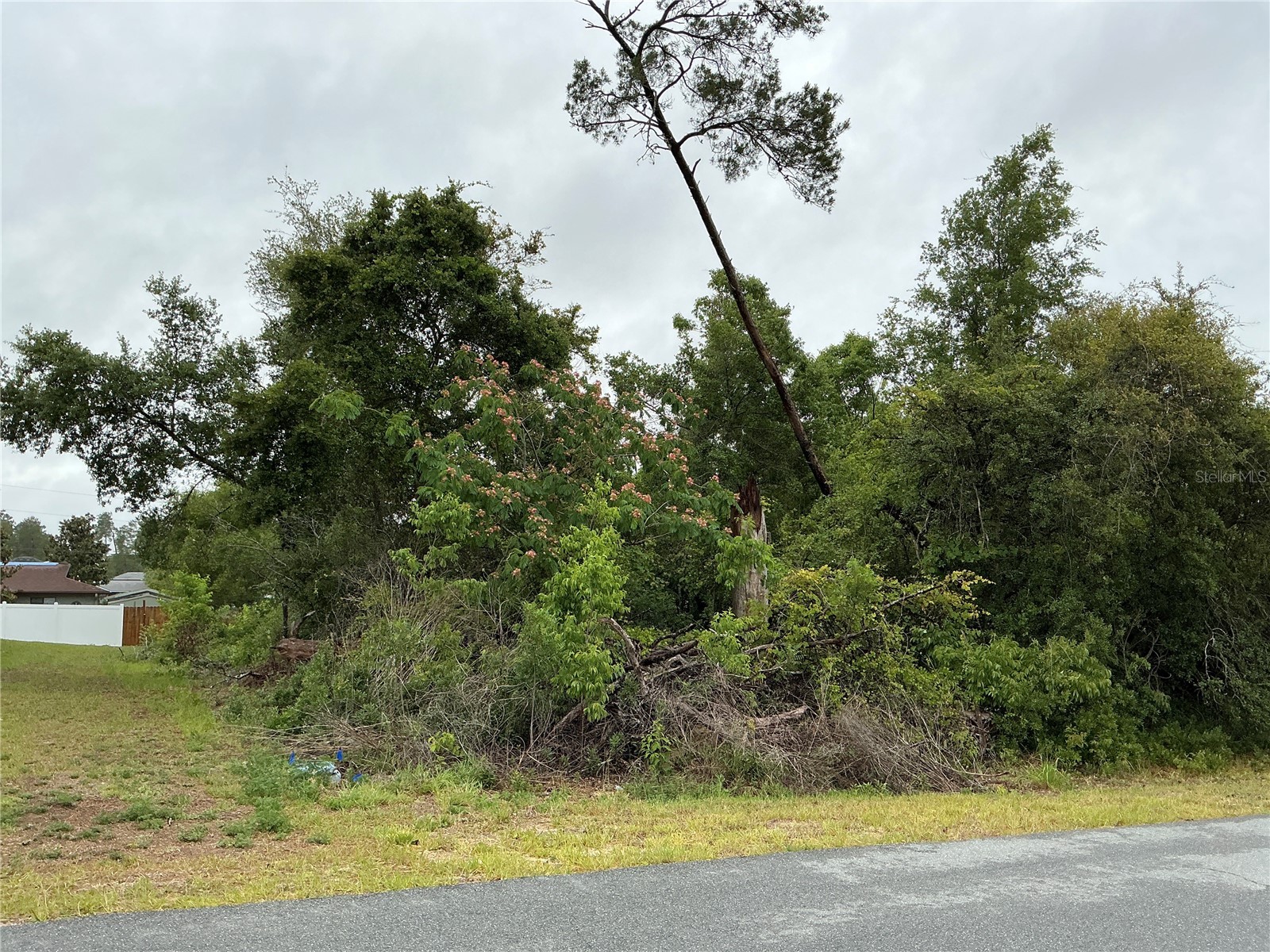SW 165th Place Ocala FL 34473 OM724772 image5