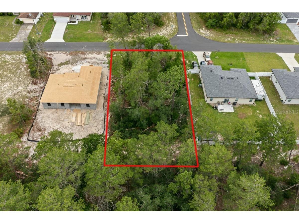 SW 165th Place Ocala FL 34473 OM725430 image5