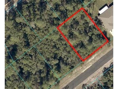 SW 165th Street Rd Ocala FL 34473 OM668844 image1