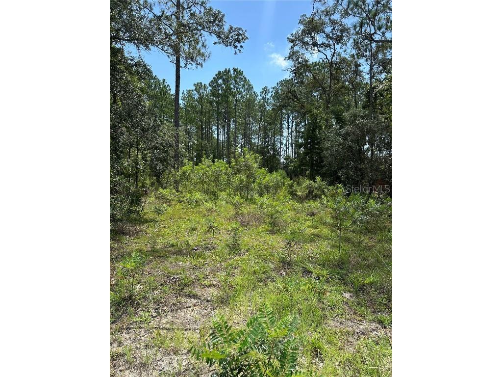 Sw 166 Ct Rd Ocala FL 34481 OM682841 image1