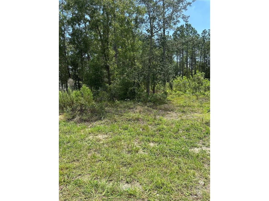 Sw 166 Ct Rd Ocala FL 34481 OM682841 image2