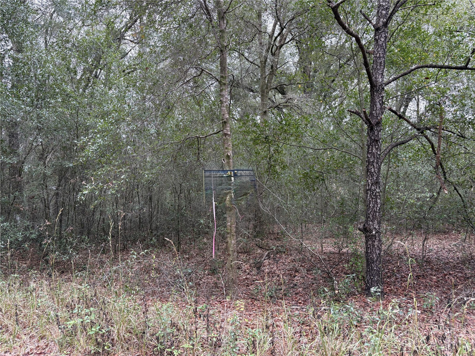 SW 16th Street Ocala FL 34481 O6323003 image4