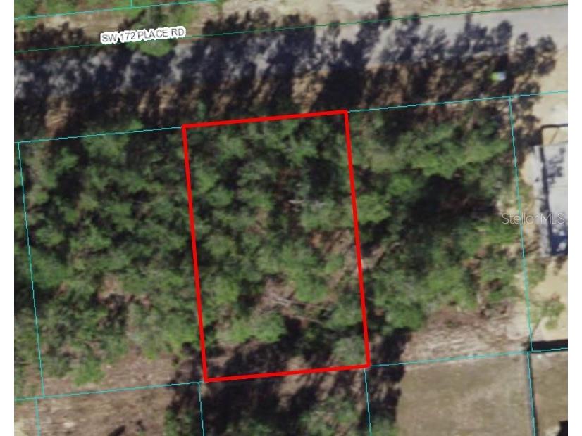 SW 172nd Street Rd Ocala FL 34473 OM671616 image1