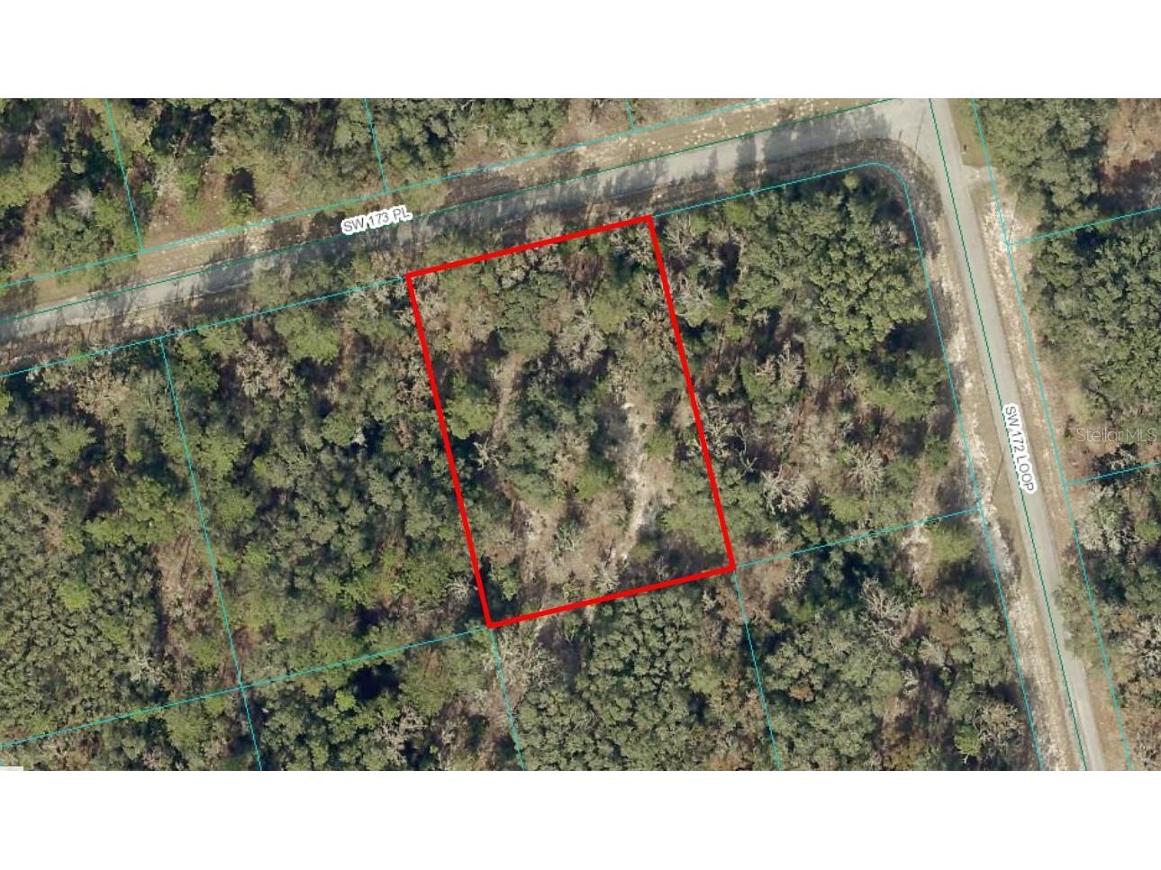 SW 173 Place Ocala FL 34473 OM697074 image1