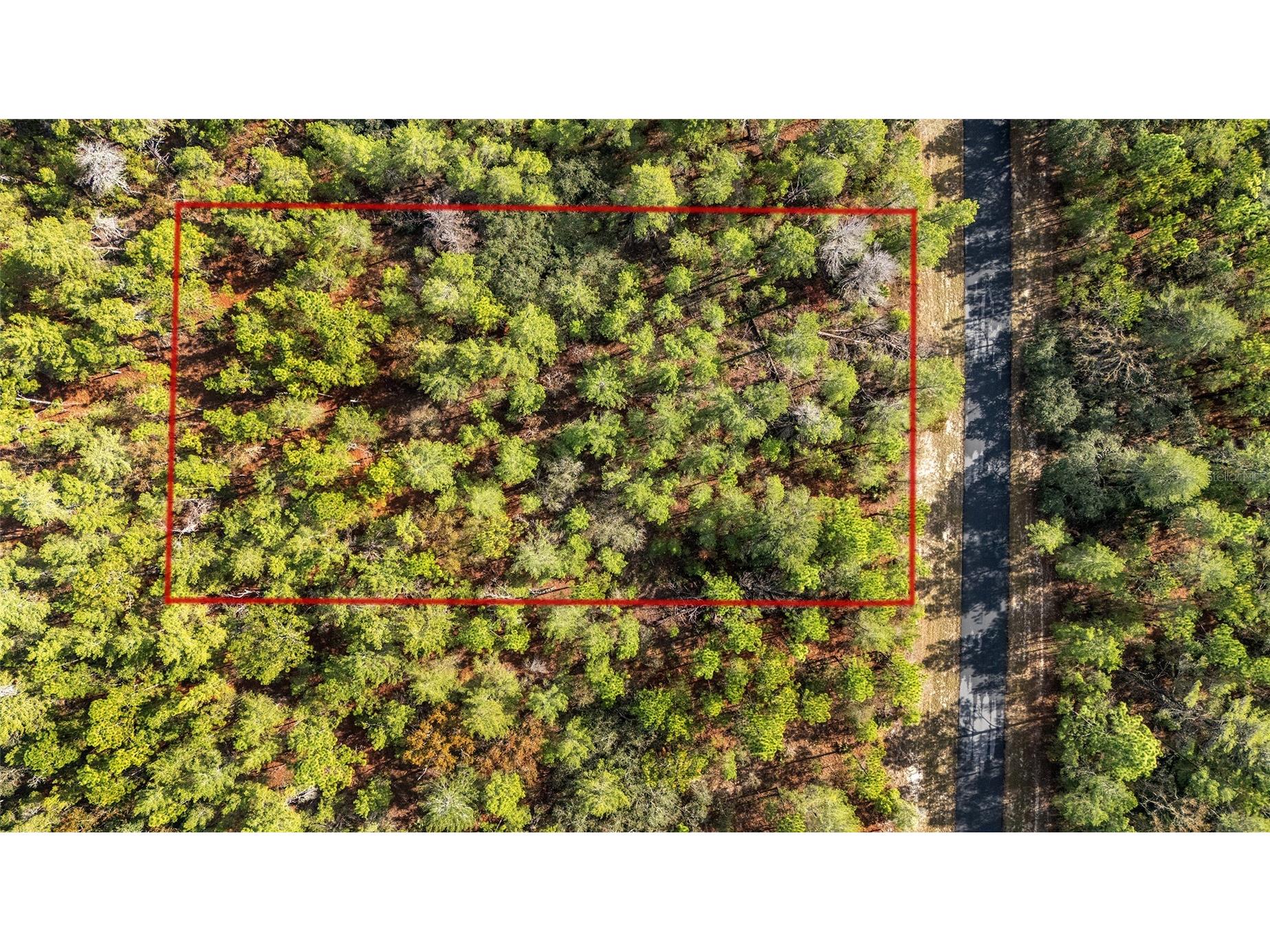 Sw 177th Street Ocala FL 34473 OM714928 image1