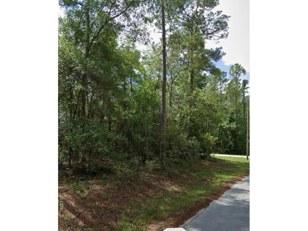 SW 178th Terrace Dunnellon FL 34432 OM701738 image2
