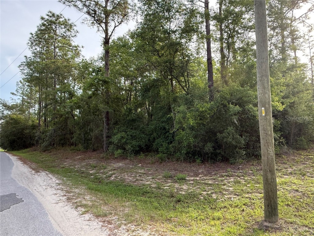 SW 178th Terrace Dunnellon FL 34432 OM701738 image3