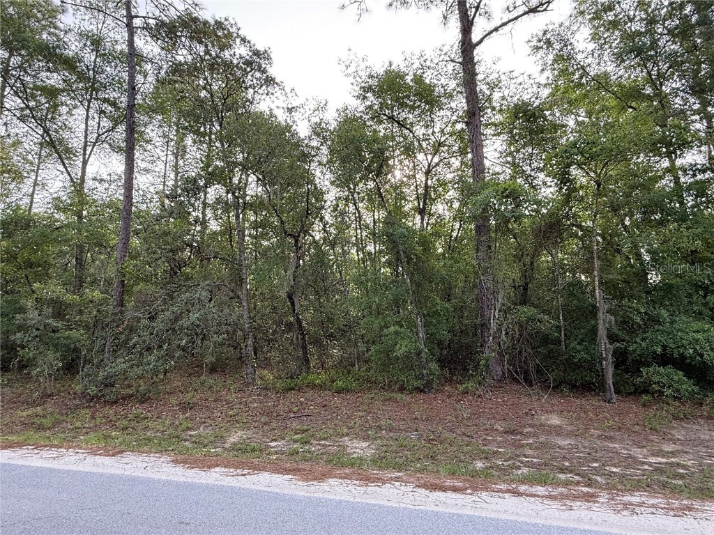 SW 178th Terrace Dunnellon FL 34432 OM701738 image5