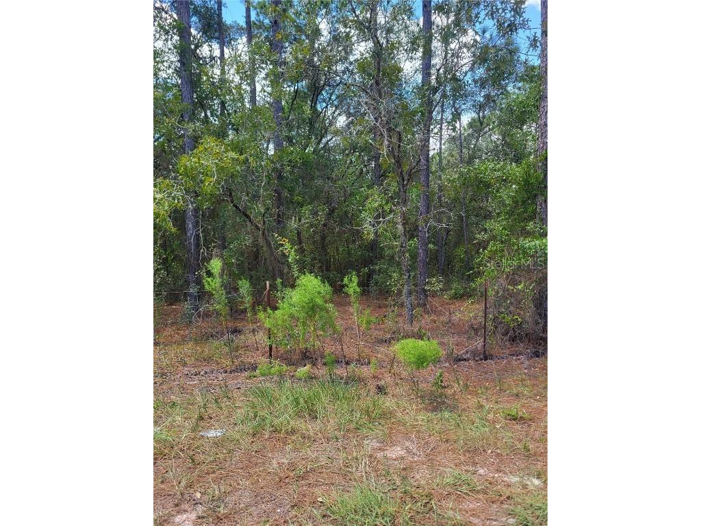 SW 178th Terrace Dunnellon FL 34432 OM708822 image1