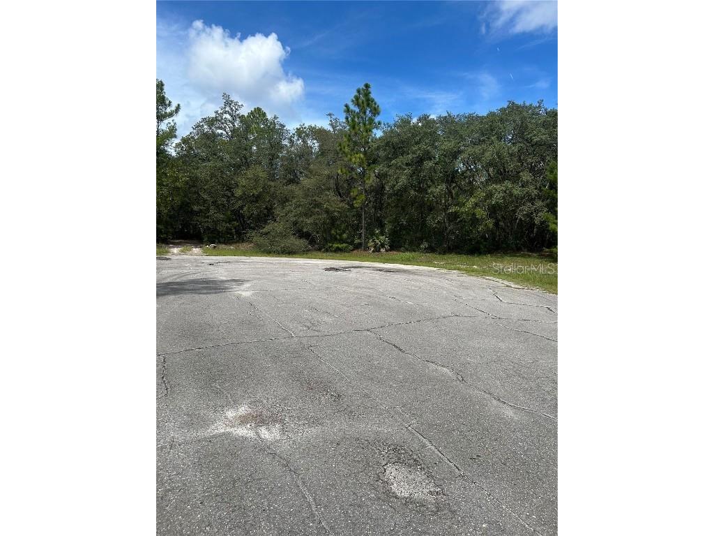 Sw 179th Place Ocala FL 34473 OM709385 image1