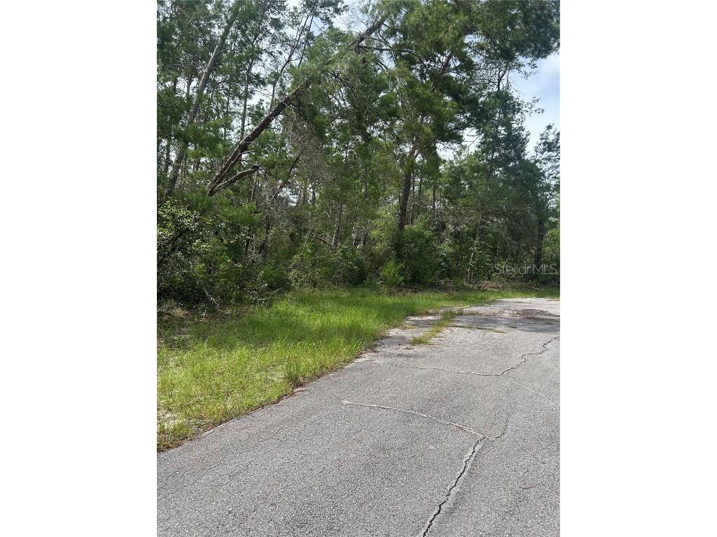 Sw 179th Place Ocala FL 34473 OM709385 image3