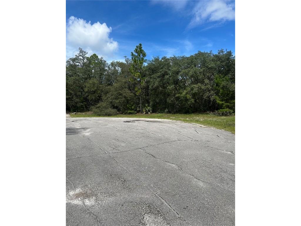 Sw 179th Place Ocala FL 34473 OM709385 image4