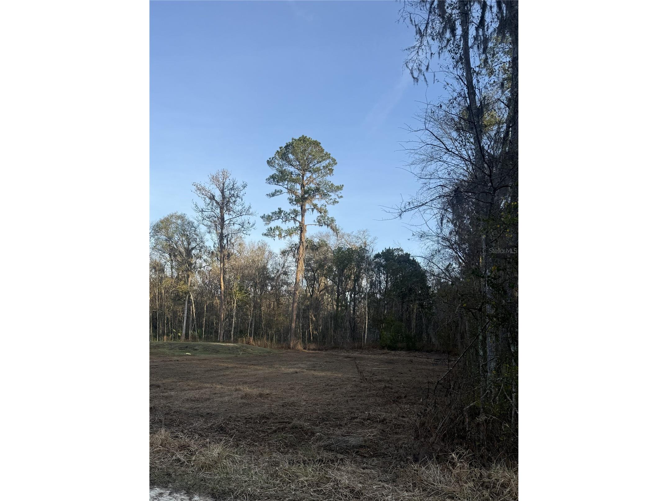 SW 17th St Rd Ocala FL 34481 OM720423 image1