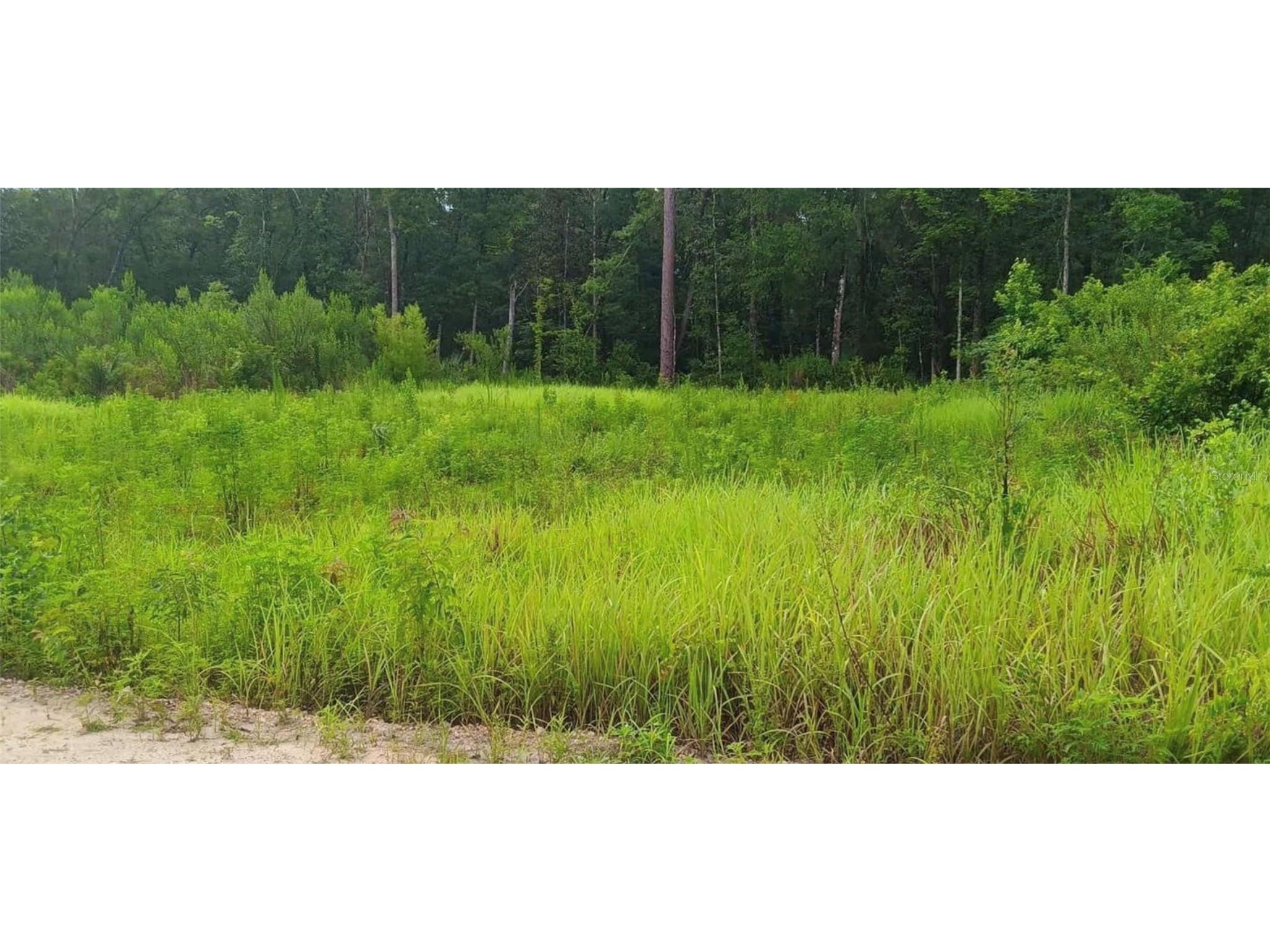 SW 18 Street Ocala FL 34481 OM720405 image3