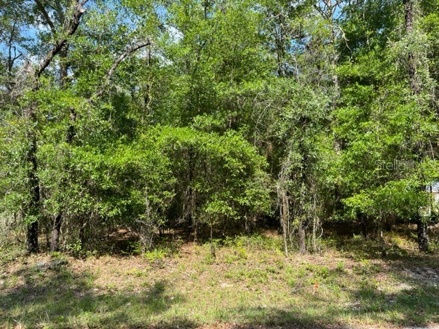 SW 181st Circle Dunnellon FL 34432 - RAINBOW RIVER OM657135 image1