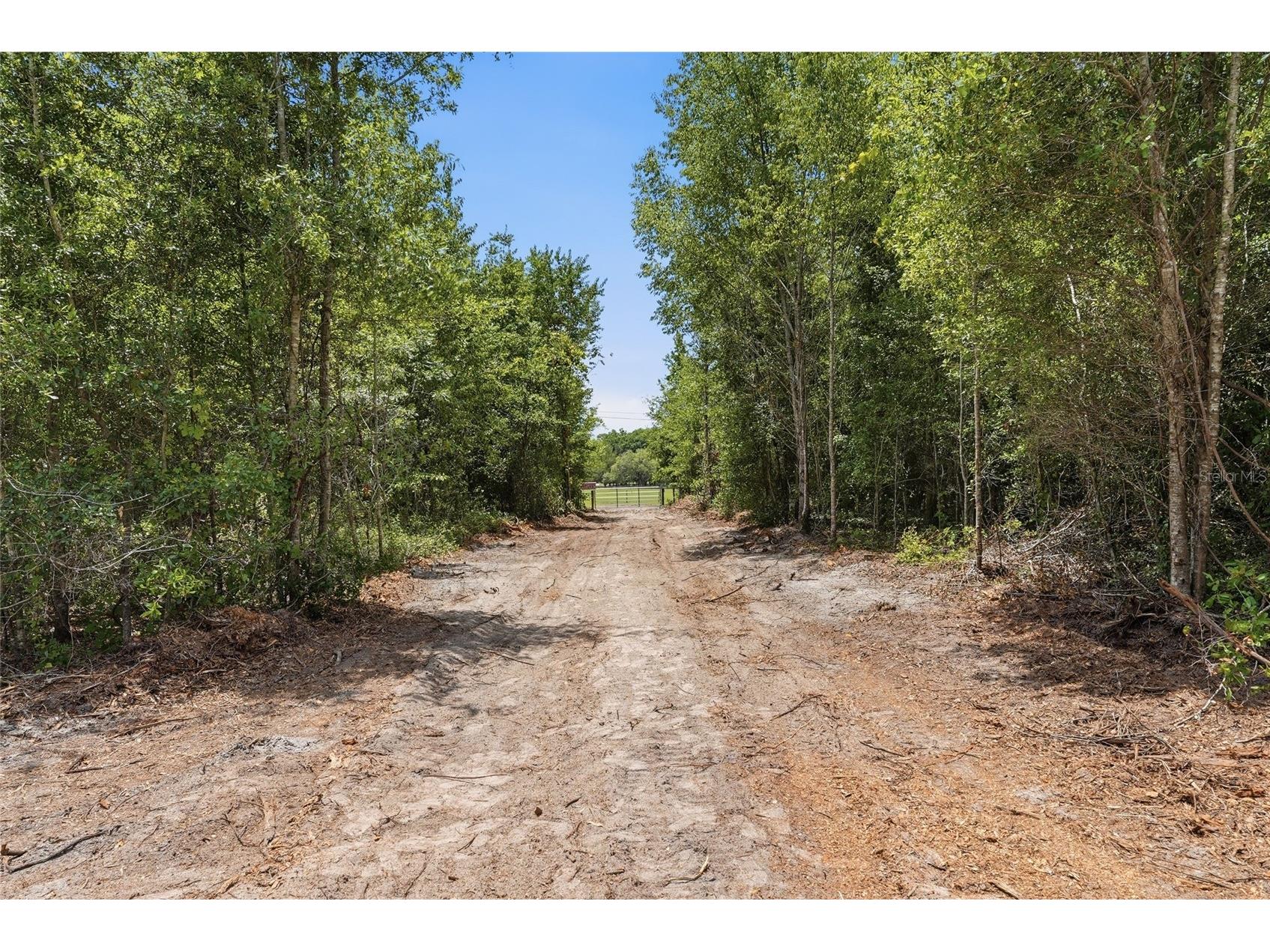 Sw 188th St Archer FL 32618 P4938799 image13
