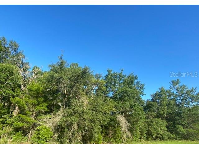 SW 18th Avenue Ocala FL 34473 O6147784 image1