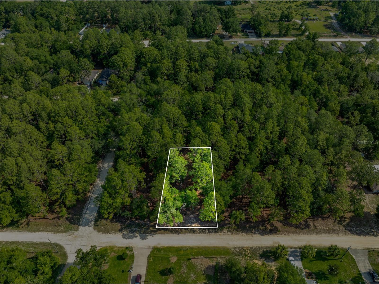 SW 18th Place Ocala FL 34481 OM726293 image1