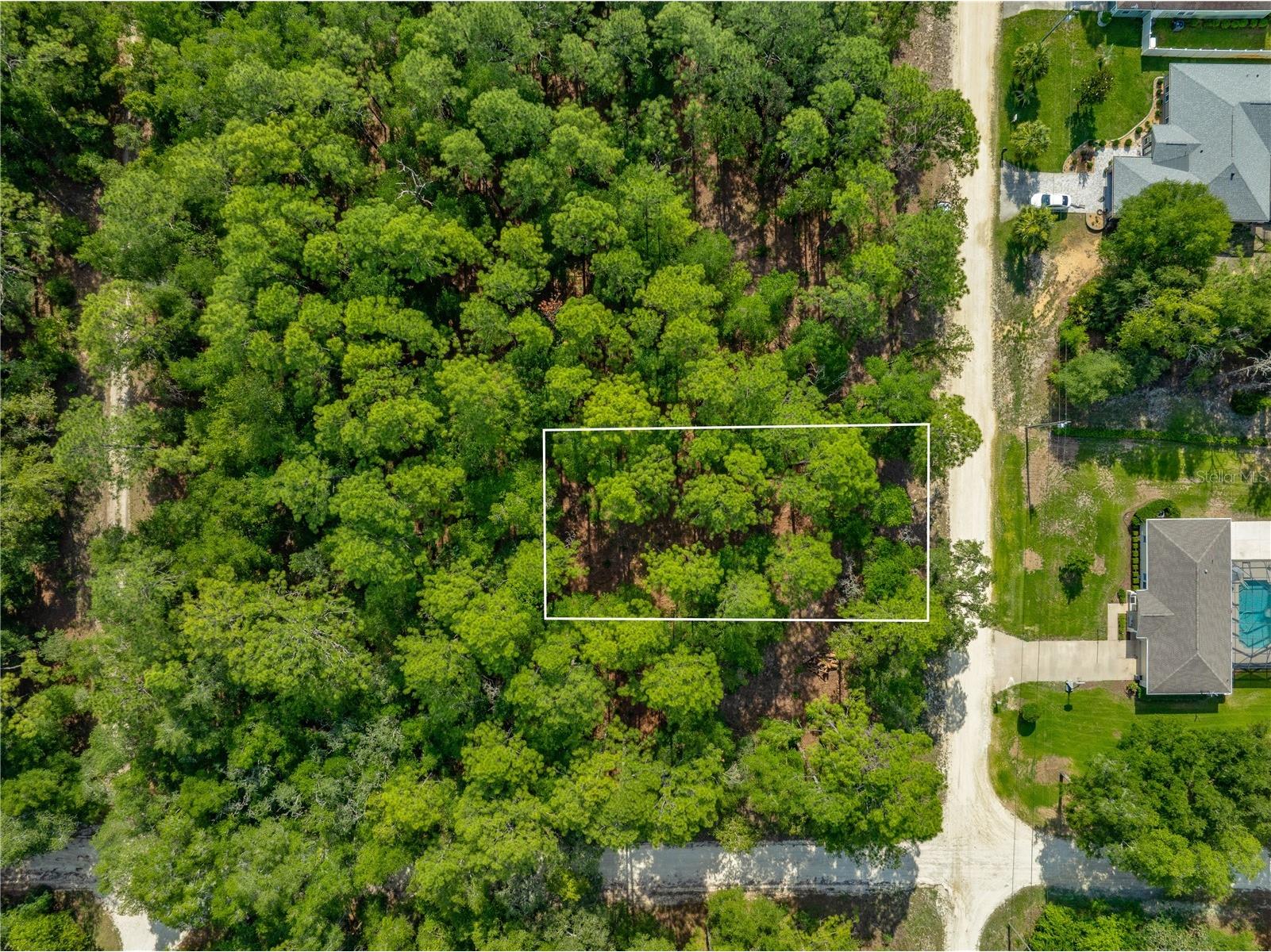 SW 18th Place Ocala FL 34481 OM726293 image4