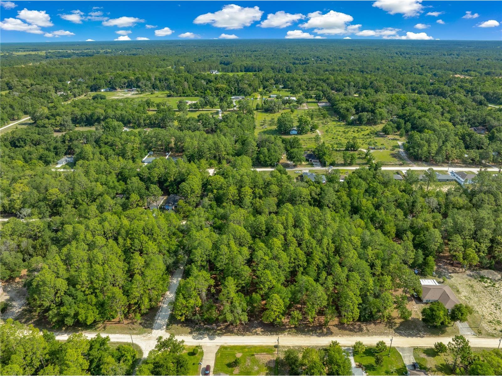 SW 18th Place Ocala FL 34481 OM726293 image6