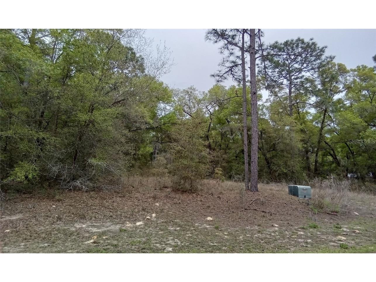 SW 197th Circle Dunnellon FL 34432 OM677547 image1