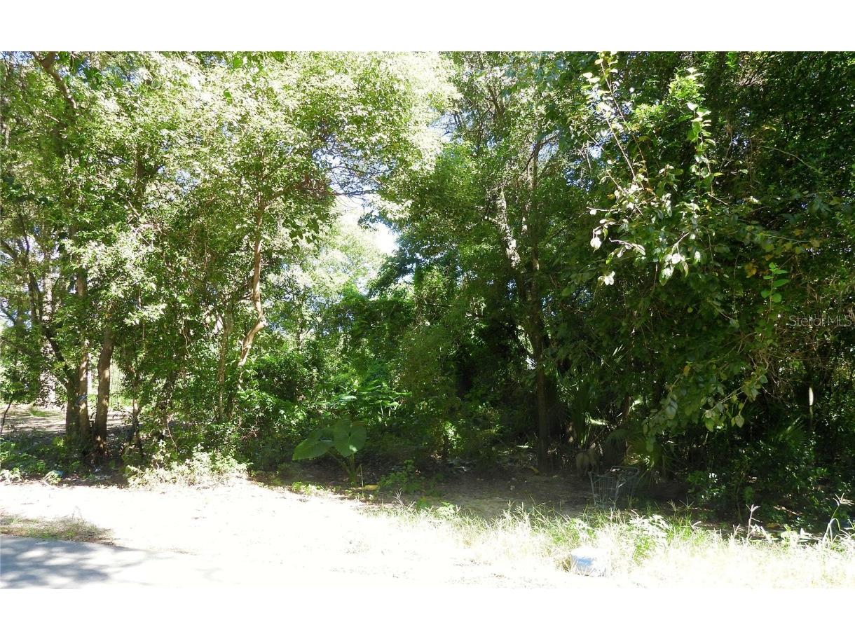 SW 198 Terrace Dunnellon FL 34432 OM709003 image1