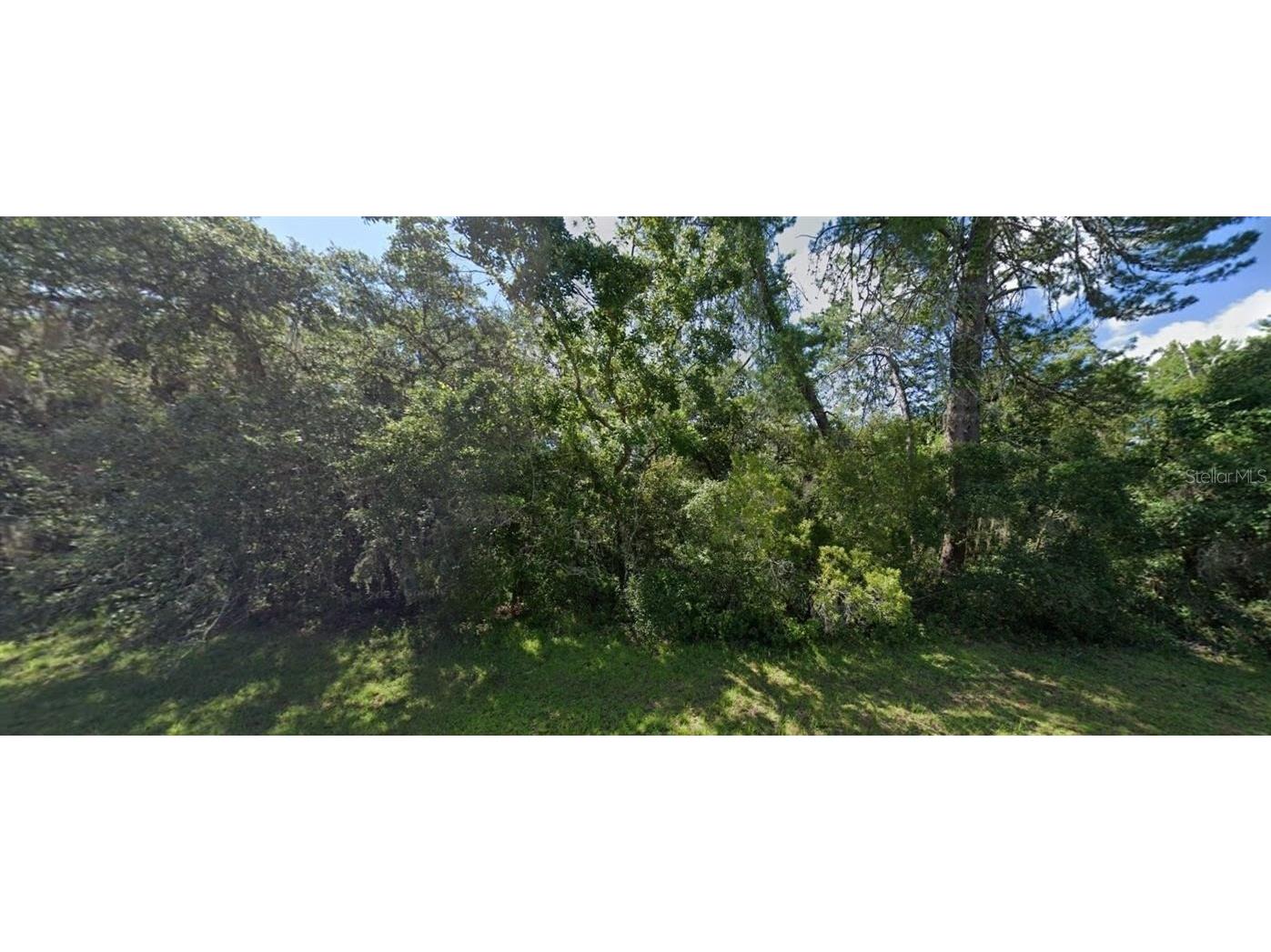 SW 19th Avenue Road Ocala FL 34473 G5110155 image3